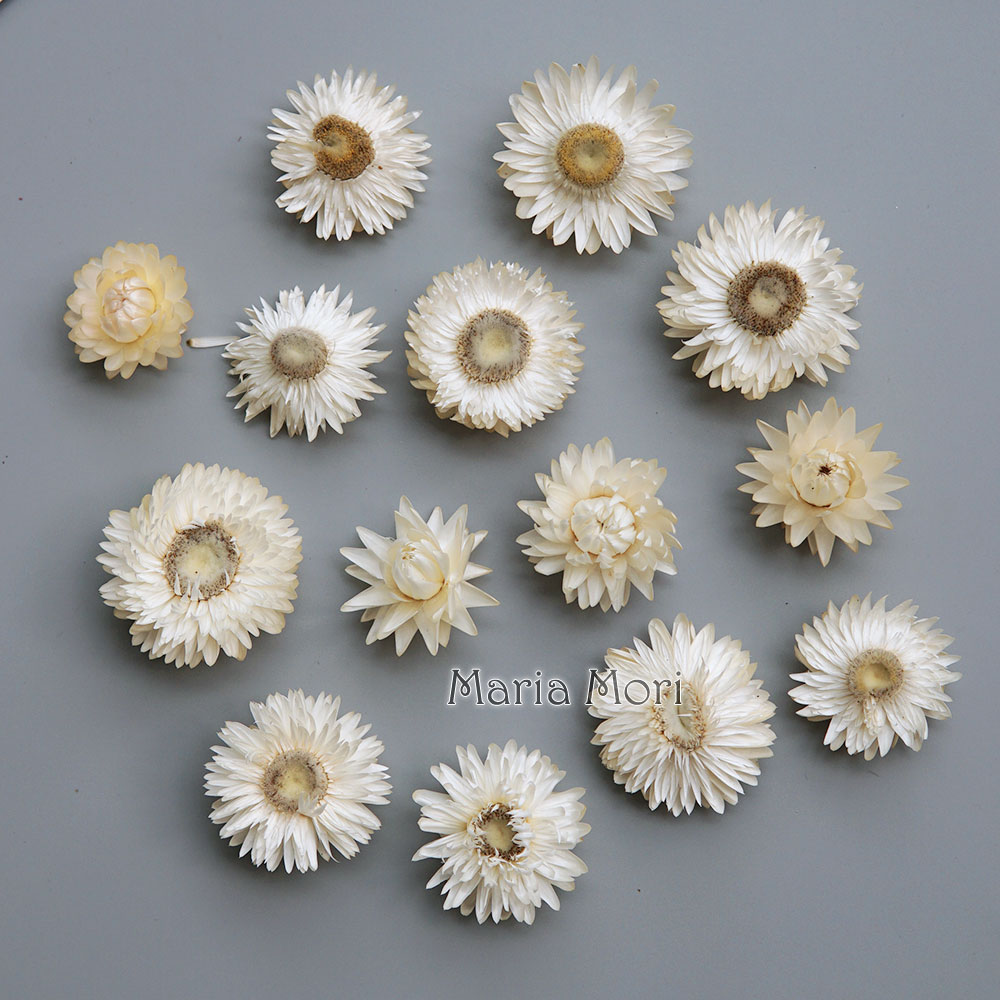 Natural Dried Colorful Chrysan - огляд і ціна Baby Products For 1 Year Old